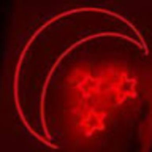 Meet your Posher, Abigail